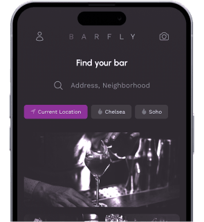 shows the search area of the application